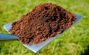¿Qué es el compost y cuáles son sus fases? El poder del suelo vivo